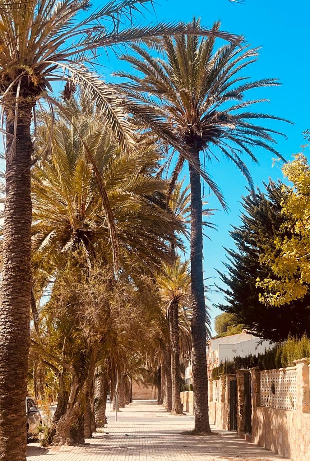 Costamarina Apartment Larimar كابو رويج المظهر الخارجي الصورة